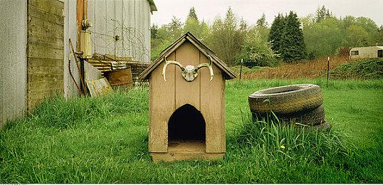 光荣特库摩将参加台北电玩展 展示《卧龙》等游戏